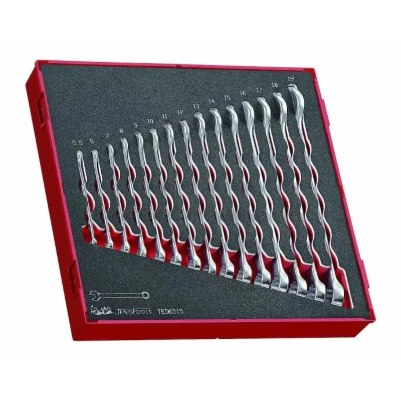 Teng Tools Combination Spanner Set FOAM2 15 Pieces