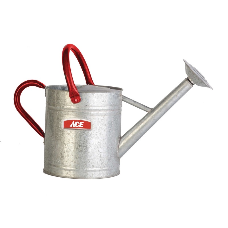 ACE 84898 Watering Can, Vintage Design, 2 gal Capacity, Steel, Gray